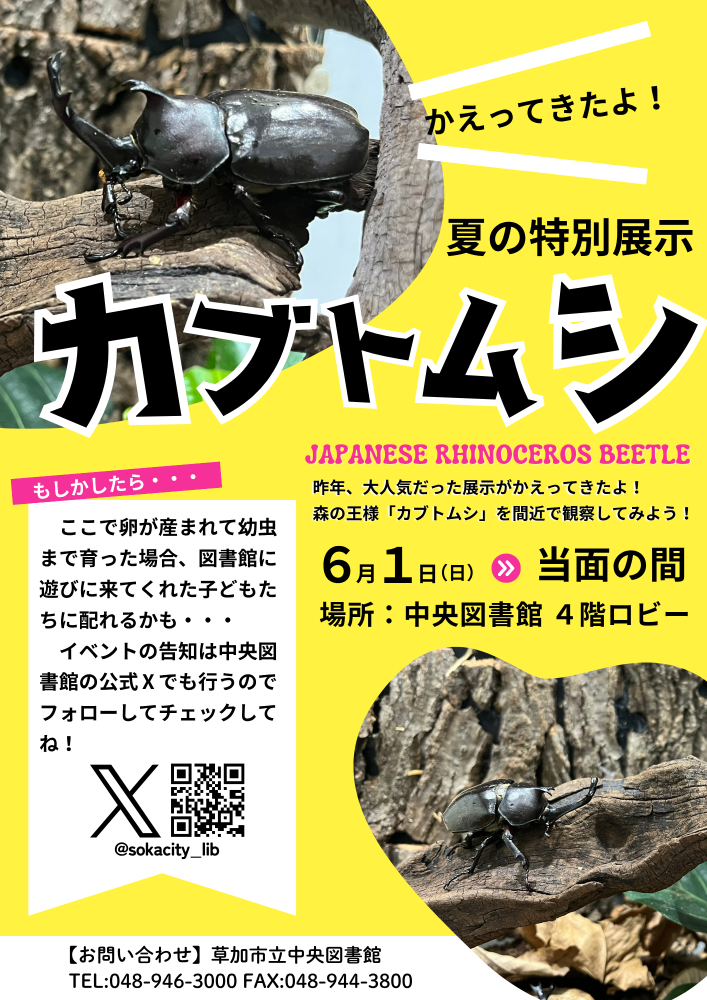 カブトムシの展示チラシ