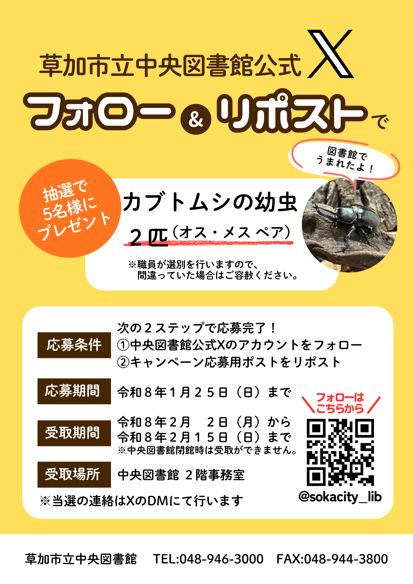 カブトムシプレゼントキャンペーン